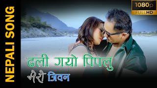 Dhali gayo pipalu , New Nepali song 2020 krishna kumar gurung