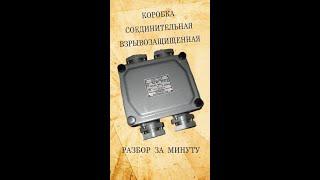 Коробка соединительная взрывозащищенная. Что внутри.  Разбор за минуту. #Shorts