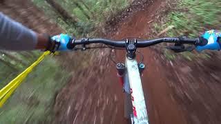 Pemberton MTB Park | Longshanks | Raw & Blind