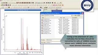 Converting a directory of ToFSIMS data from IonToF ASCII format