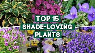 15 Shade-Loving Plants That Are Perfect For Your Garden!  // PlantDo Home & Garden