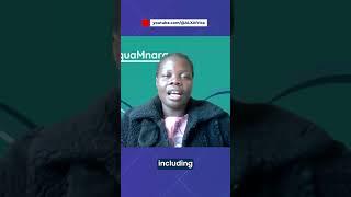 Benefits of the ALX Ventures programme