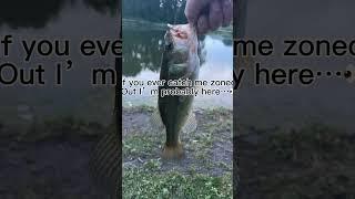 #bassfishing #bassfeatured #fishing #catfish #panfish #bluegill
