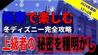 【これ１本で全てわかる】ディズニーの冬はどれだけ寒い？楽しむために必要な情報を全て解説します：2024年最新版