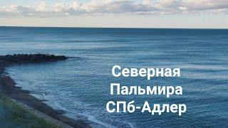 К морю на "Северной Пальмире" СПб-Адлер, октябрь 2023 #поезд