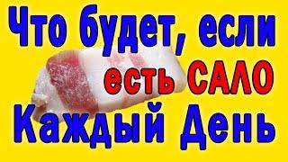 Что Произойдет с Вашим Организмом, если Есть Сало Каждый День  Сало Вредно или Полезно