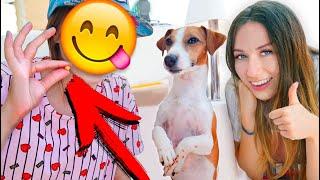 Мои гости ПЕРВЫЙ РАЗ ДРЕССИРУЮТ ДЖИНУ Яхта Элли Ди | Elli Di Pets