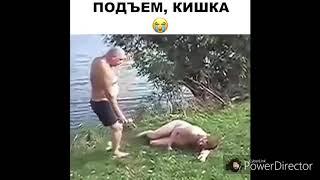 Смешные видео с пьяными. Приколы с животными и детьми. Драки алкашей. Угарные видео с интернета Юмор