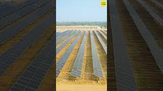 Bifacial Solar Panels: The Future of Renewable Energy?