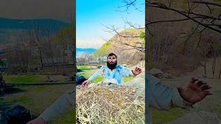 Khizar umar ki comedy |khizar Omer vlogs|by a1pathanstar#khizaromer #comedyshorts #funny #short