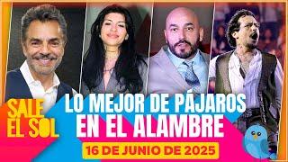Eugenio Derbez y Lupillo Rivera PROTESTAN en APOYO a MIGRANTES | Lo Mejor de Pájaros 16/6/25