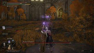 Draconic Tree Sentinel kill (first playthrough)