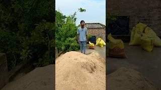 The human body transports water, greening the desert is funny special effects desert greening️