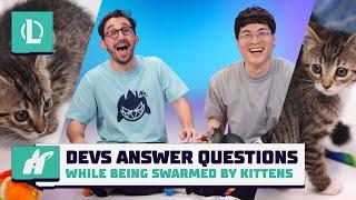 Devs Answer Questions While Swarmed by Kittens | League of Legends