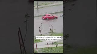 На Гомель обрушился тропический ливень с градом / #новостибеларуси