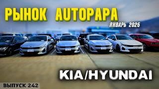 Обзор цен на Hyundai и KIA рынок AUTOPAPA. Мастер Вадя Грузия.#automobile #mastervadya #top