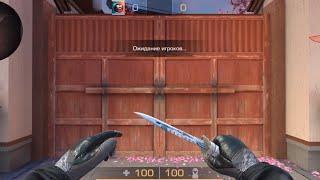 M9 Bayonet Kumo & Gloves Phoenix Risen | GAMEPLAY