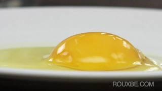 Egg Cooking Basics - "Egg Anatomy"