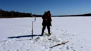 Вываживание крупной щуки.#pike #largepike #bigpike #pikehunting #щука #крупнаярыба #крупнаящука