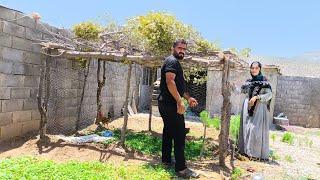 Sweet Rural Life: Completing the Chicken Shelter | Daily Life & Iranian Traditions