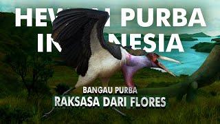 Bagaimana Bangau Purba Raksasa Ini Hidup di Indonesia? | Leptoptilos Robustus