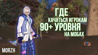 PERFECT WORLD. AoE КАЧ НА 90+ УРОВНЯХ