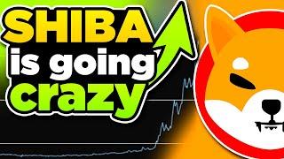 GPU Mining Shiba 3 months ago