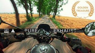 Cruising The Golden Treasure of Earth | Pure Exhaust Sound | 4K ASMR | RE Meteor 350 | Wheat Farm