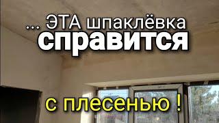 ... вот как мы БОРЕМСЯ с ПЛЕСЕНЬЮ. Хорошая шпаклёвка ПРОТИВ плесени. Ремонт квартир. Ошибки ремонта