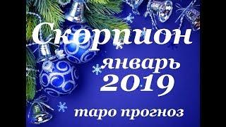 СКОРПИОН.  ЯНВАРЬ 2019. ТАРО ПРОГНОЗ. Любовь, деньги, работа.