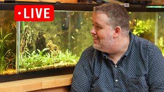 10 Gallon Tanks Amazing - Here are my reasons. Live Stream