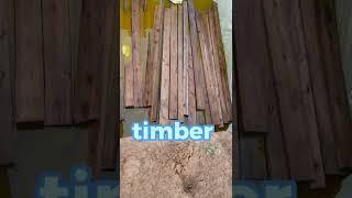 Here's how to Treat Timber agaisnt Termites from Eating up your ROOF! ‍️