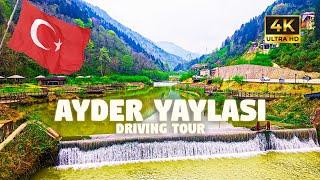 Ayder - Rize | 4K  DrivingTour  | Turkish Black Sea