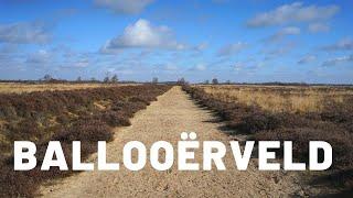 Family hike around Balloërveld, Drenthe | inspired by Kraig Adams