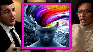 How Terence Tao's mind works | Lex Fridman Podcast Clips