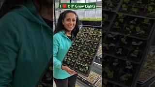 DIY Grow Lights - Grow A TON Of Plants!