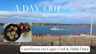 A day on Cape Cod | Luncheon on the seaside | New England Winter tidal flats | an aritst's life