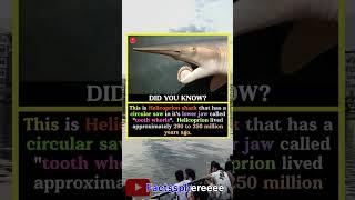 #knowledgeispower #mindblowingfacts #factshorts #didyouknow