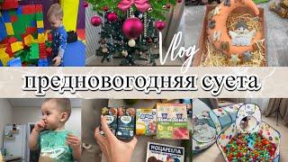 VLOG: Поставили ЕЛКУ/Много ПОКУПОК/Кайфуем ВМЕСТЕ/Едем РАЗВЛЕКАТЬСЯ