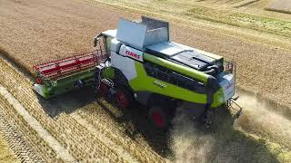 Claas Lexion 6700TT September 2020 Cutting Wheat