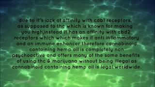 What is the Endo-cannabinoid System  -  Explained!