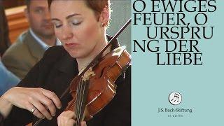 J.S. Bach - Cantata BWV 34 "O ewiges Feuer, o Ursprung der Liebe" (J. S. Bach Foundation)