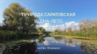  Природа Саратовская.  Весна-лето 2024. 