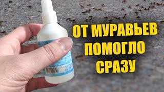 Муравьи не любят это! 2 капли и от муравьев и следа не останется! Избавит от муравьев без химии!