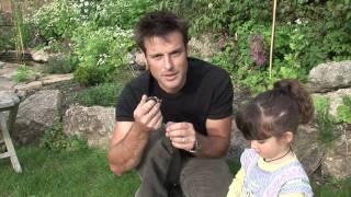 Wild Life Skills #8 - Slow Worm watching