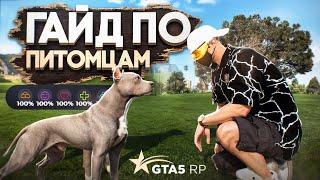 ГАЙД ПО ПИТОМЦАМ И ИХ НАВЫКАМ GTA 5 RP | ГТА 5 РП