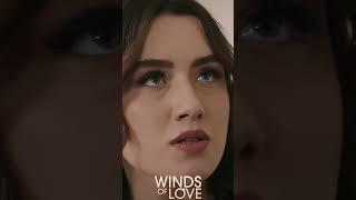 Zeynep, ağzına geleni söyledi  #windsoflove #shorts #zeyhal #ruzgarlitepe