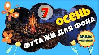 7 футажей для фона. Осень. Анимированные ФУТАЖИ ФОН для видео монтажа. Скачать футажи бесплатно.