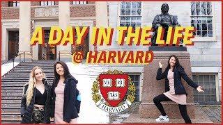 A Day in the Life at Harvard University (+ Campus Tour!) | Katie Tracy