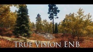 TES V - Skyrim Mods: True Vision ENB